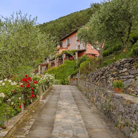 Sii Felice Villa Buti