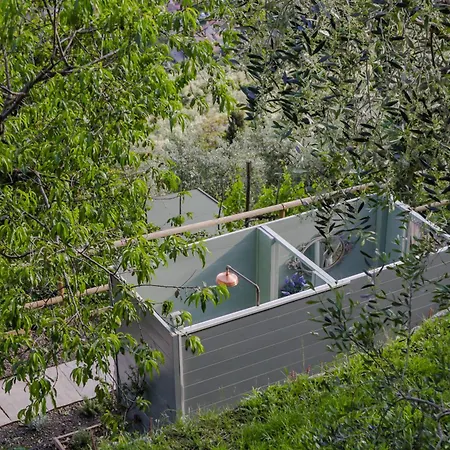 Villa Sii Felice Buti